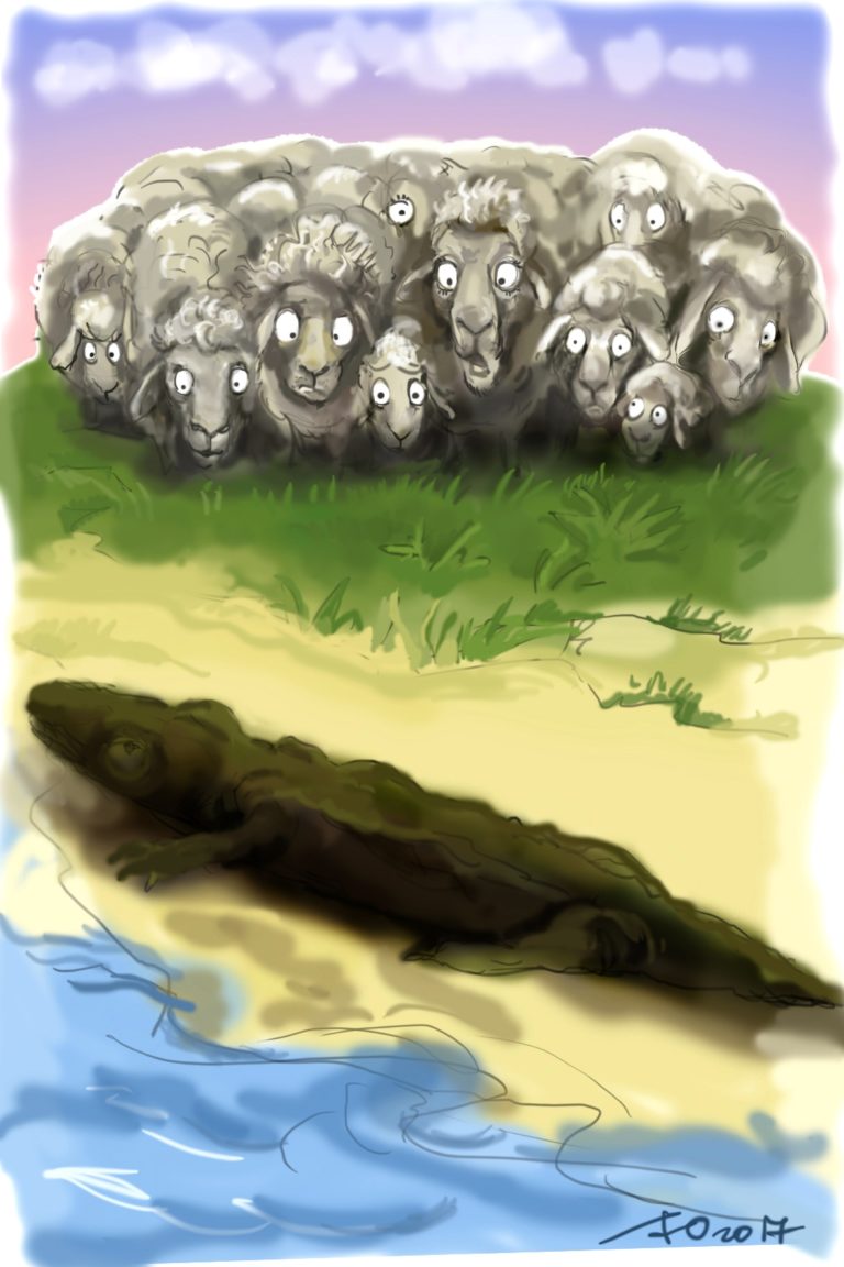 093ff7acc67a4e829b6e87fc8c4c5519